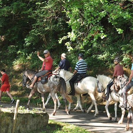 Les Chalets Du Moulin Du Chatain 4 Payzac  Kültér fotó