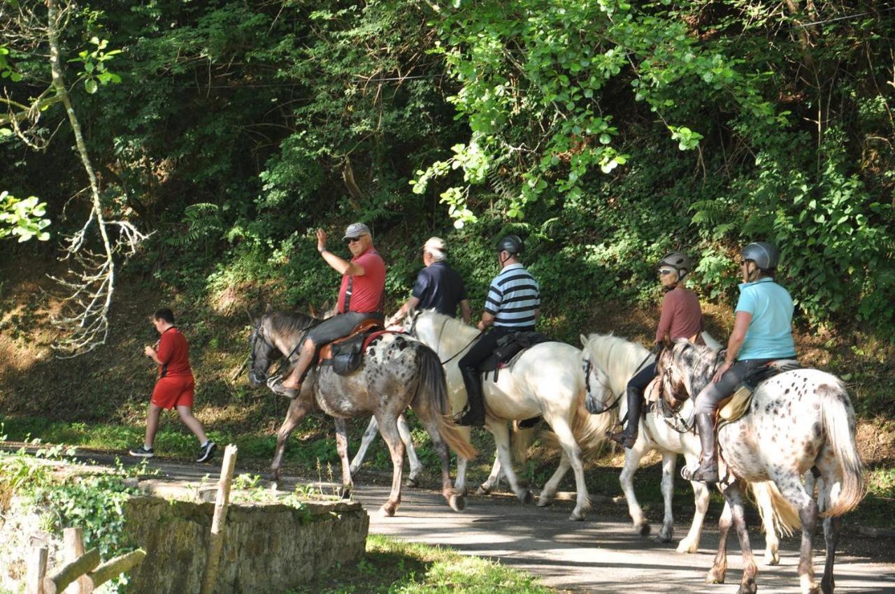 Les Chalets Du Moulin Du Chatain 4 Payzac  Kültér fotó